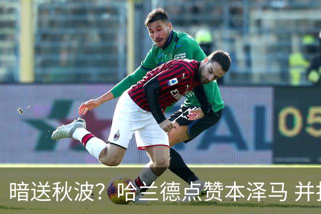 暗送秋波？哈兰德点赞本泽马 并打出皇马加油口号